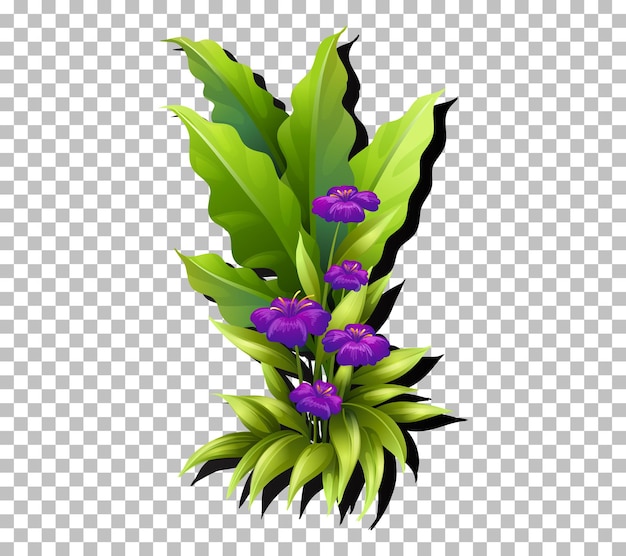 Gratis vector tropische bloem en blad op transparant