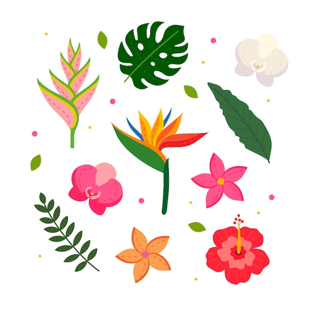 Tropische bloem en blad set