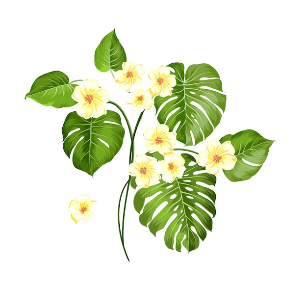 Tropische bloem en palm op witte achtergrond. Vector illustratie.