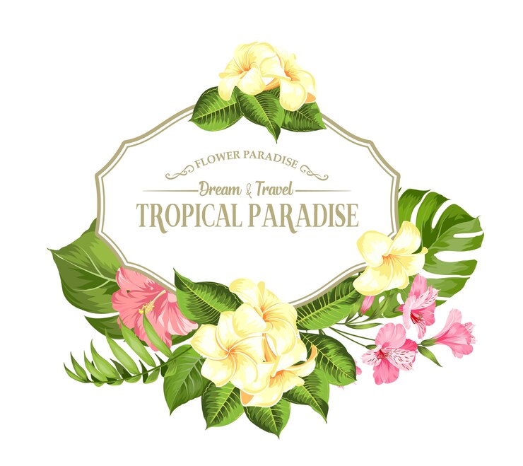Gratis Vector tropische bloem frame met plaats voor tekst. palm, hibiscus en monstera op witte achtergrond.