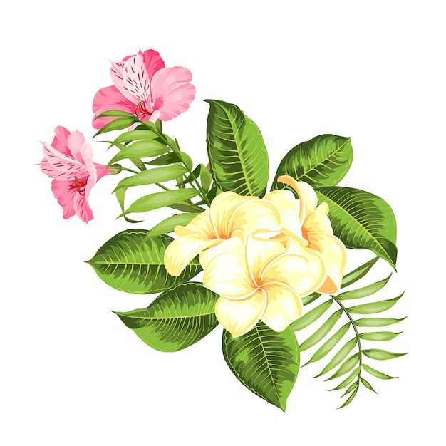 Gratis vector tropische bloem op witte achtergrond. vector illustratie.