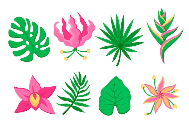 Tropische bloemen- en bladcollectie