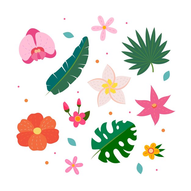 Tropische bloemen- en bladcollectie