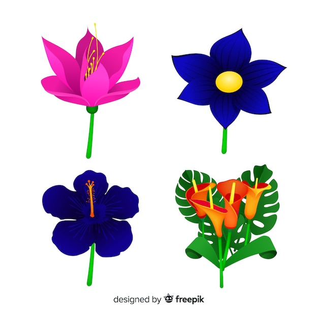 Gratis vector tropische bloemen en bladeren collectie