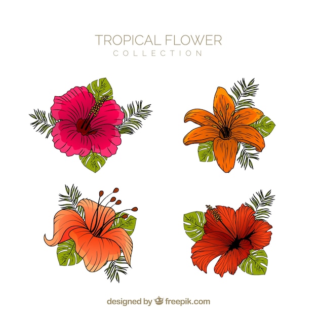 Tropische bloemencollectie