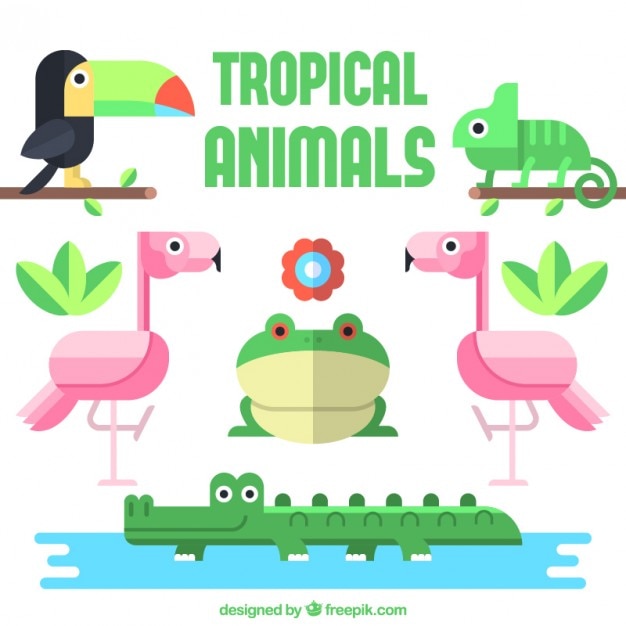 Gratis vector tropische dieren collectie in plat design