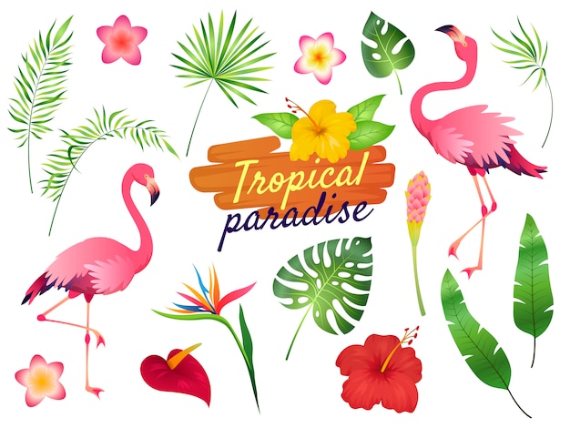 Tropische flamingo's illustratie.