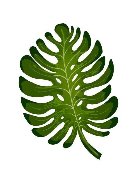 Tropische gespleten blad philodendron illustratie