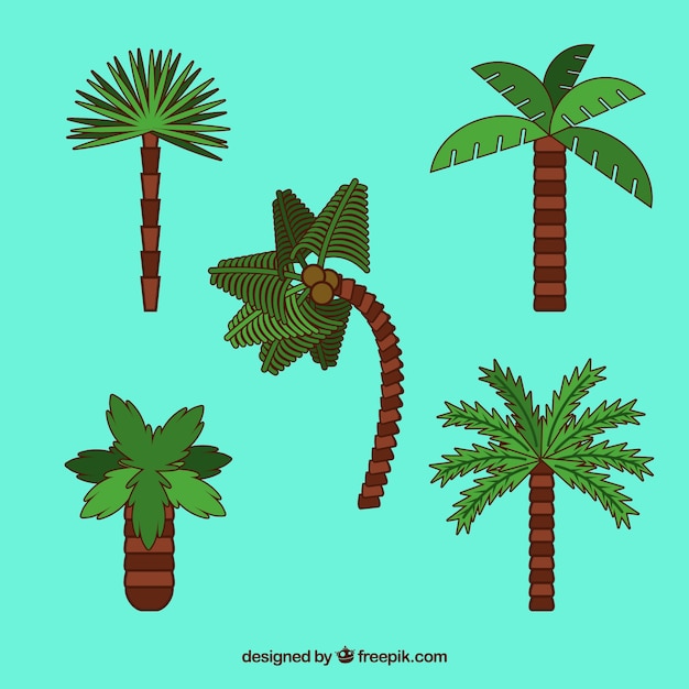 Tropische palmbomen plat ontwerp