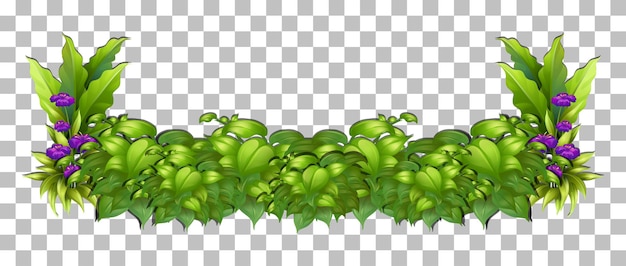 Gratis vector tropische plant op transparante achtergrond