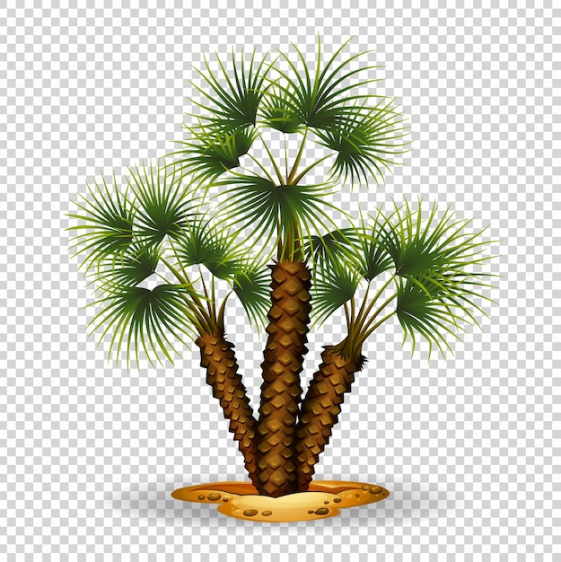 Gratis vector tuinieren thema met palmboom