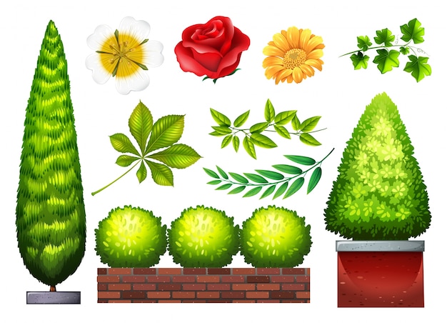 Gratis vector tuinplanten en bloemen in veel soorten