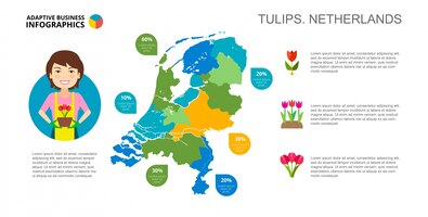 Gratis vector tulpen van nederland slide template