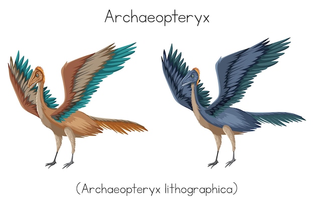 Gratis vector twee archaeopteryxen met verschillende kleuren