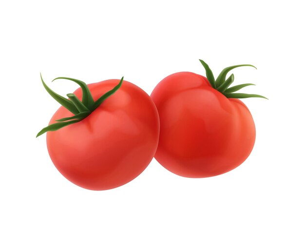 Twee rode tomaten met bladeren op witte realistische vectorillustratie als achtergrond