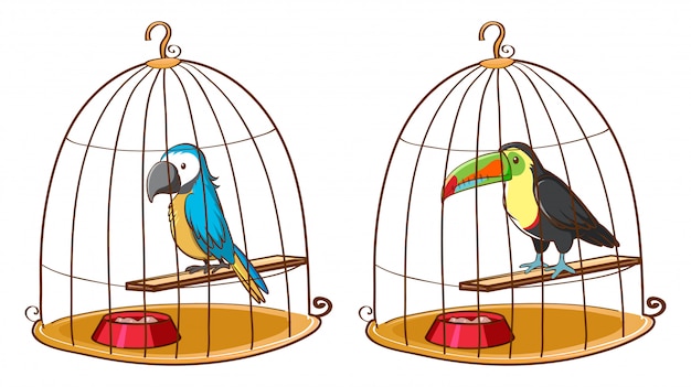 Gratis vector twee vogels in vogelkooien