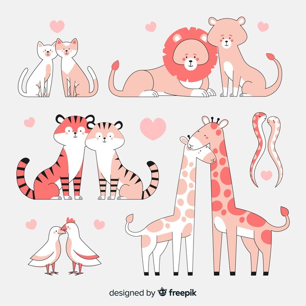 Valentijn paar dierencollectie