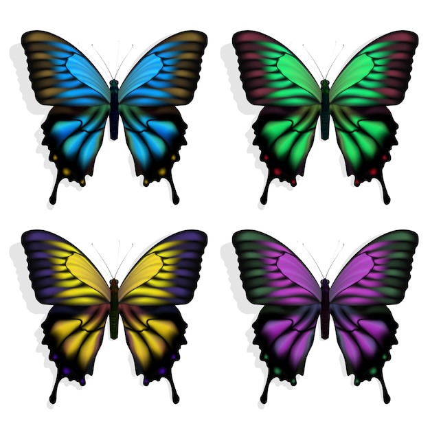 Vector blauwe, groene, paarse en gele vlinders op wit