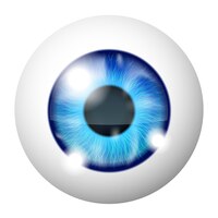 Gratis vector vector blauwe menselijk oog macro over wit