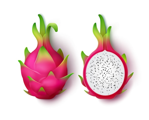 Vector geheel en gesneden levendig roze draakfruit dat op witte achtergrond wordt geïsoleerd