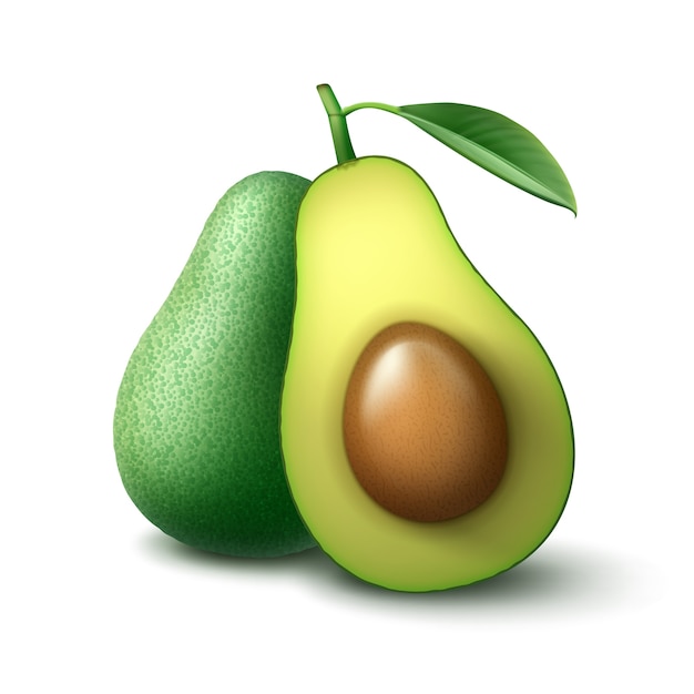 Vector groene verse hele en half gesneden avocado met blad zijaanzicht geïsoleerd op een witte achtergrond