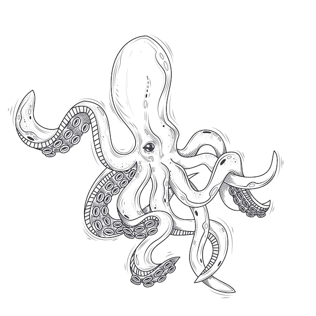 Vector illustratie van een octopus geschilderd in een gravure stijl geÃ¯soleerd op wit.