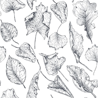 Vector naadloos patroon met hand getrokken droge herfstbladeren. mooie herfst eindeloze illustratie in schetsstijl voor het kleuren van boek, textiel, pakket. Premium Vector