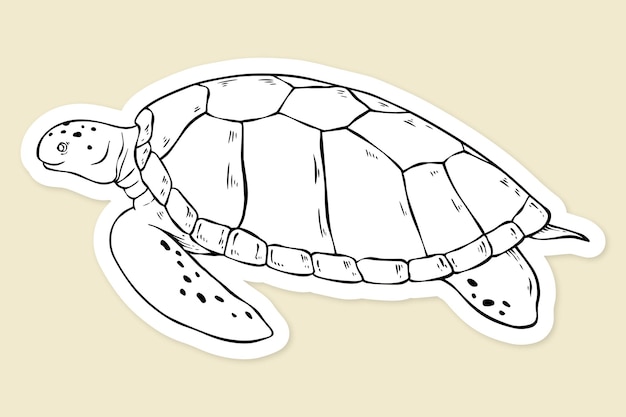 Gratis vector vector schildpad vintage zwart-wit clipart