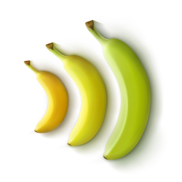 Vector set groen gele bananen geïsoleerd op een witte achtergrond