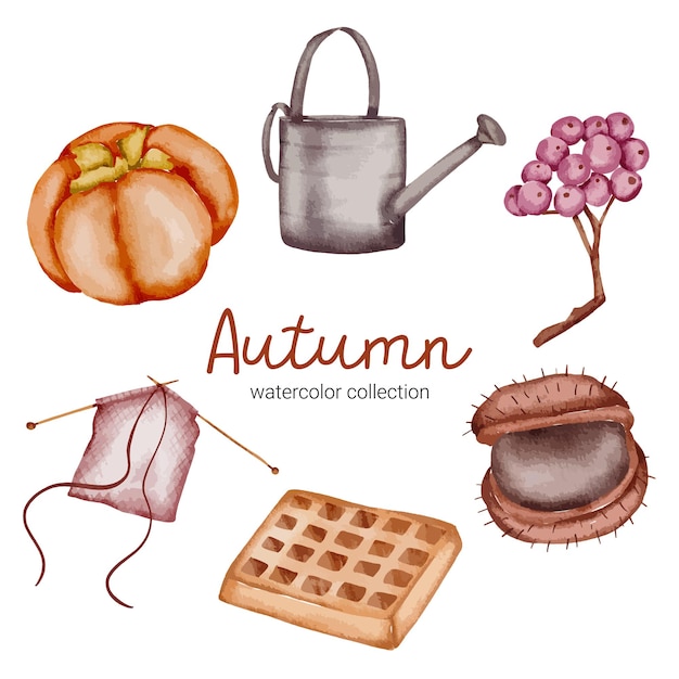 Vector set herfst object elementen in een aquarel stijl. Set van aquarel herfst fruit en objectontwerp gecombineerd met vlek met de hand beschilderd. botanische bladeren aquarel hand schilderen.