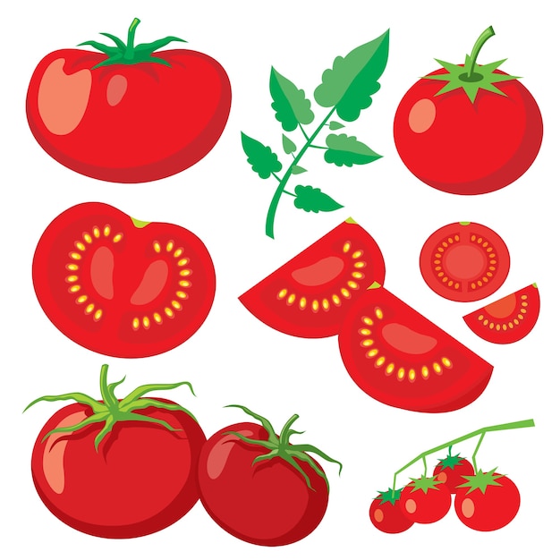 Vector verse tomaten in vlakke stijl. Gezond plantaardig voedsel, organische rijpe verse natuurlijke illustratie