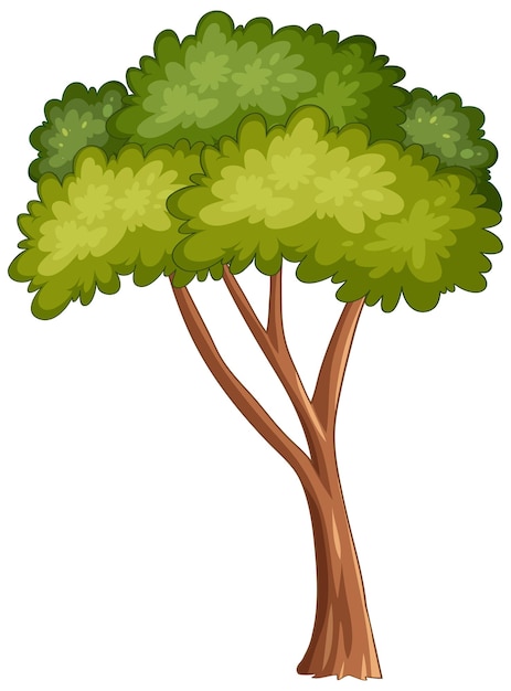 Vectorillustratie van een weelderige groene boom