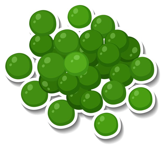 Gratis vector veel groene bollen op witte achtergrond