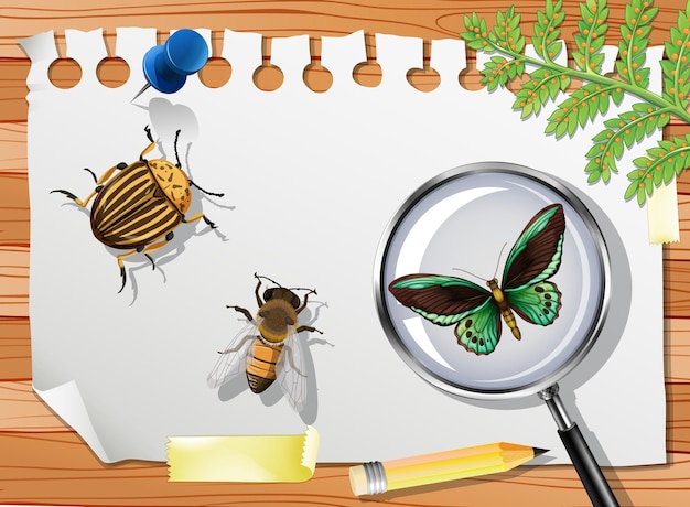 Gratis vector veel verschillende insecten op tafel close-up