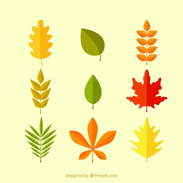 Gratis vector veelkleurige herfstbladeren