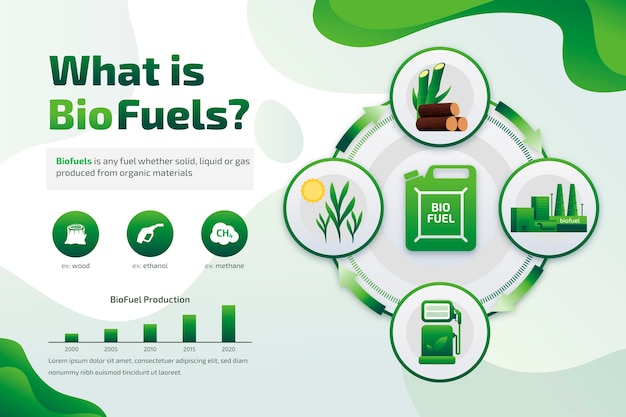 Verloop biobrandstof infographic sjabloon