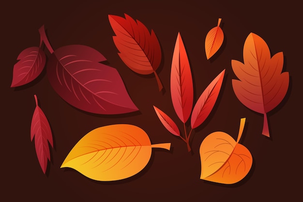 Gratis vector verloop herfstbladeren collectie