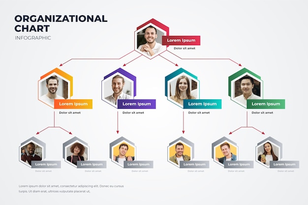 Verloop organigram met foto