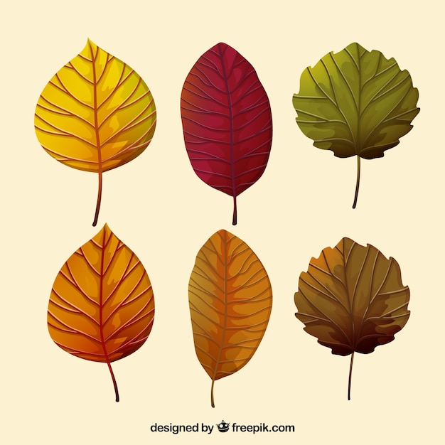 Gratis vector verpakking van herfstbladeren