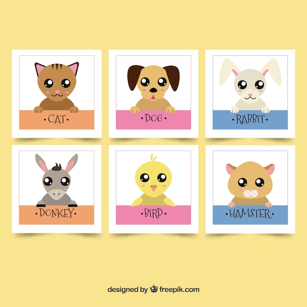 Gratis vector verpakking van mooie dierenkaarten