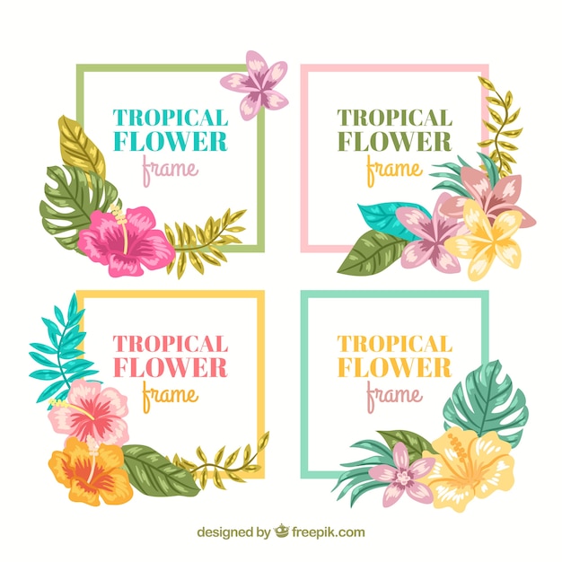 Verpakking van vier tropische kaders met bloemdecoratie