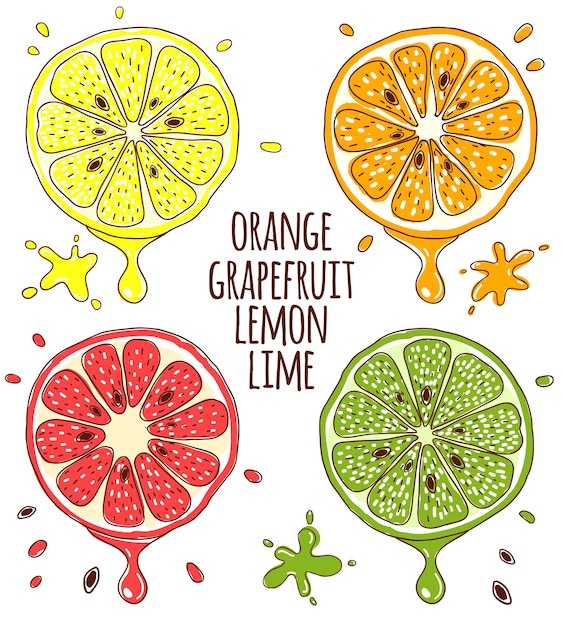 Vers fruit plakjes citroen, limoen, sinaasappel en grapefruit.