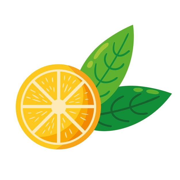 Gratis vector vers oranje citrusfruit