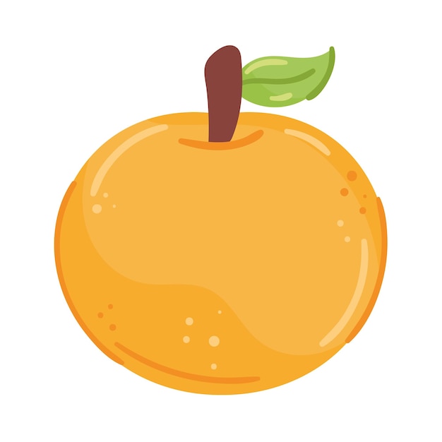 vers oranje fruit gezond