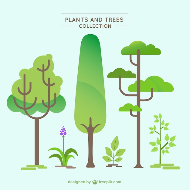 Verscheidenheid aan bomen en planten in plat design