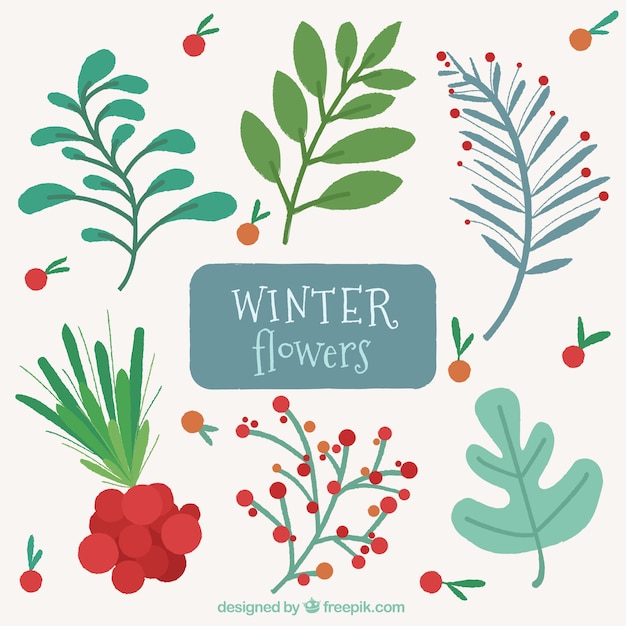 Gratis vector verscheidenheid aan prachtige winter bloemen