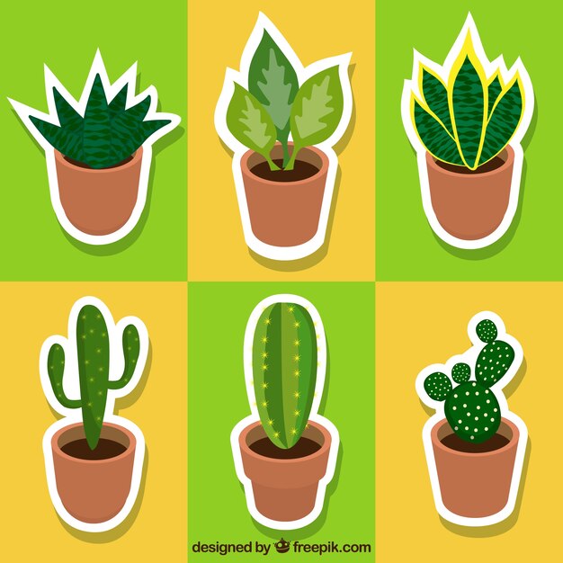 Verscheidenheid van cactus en planten labels