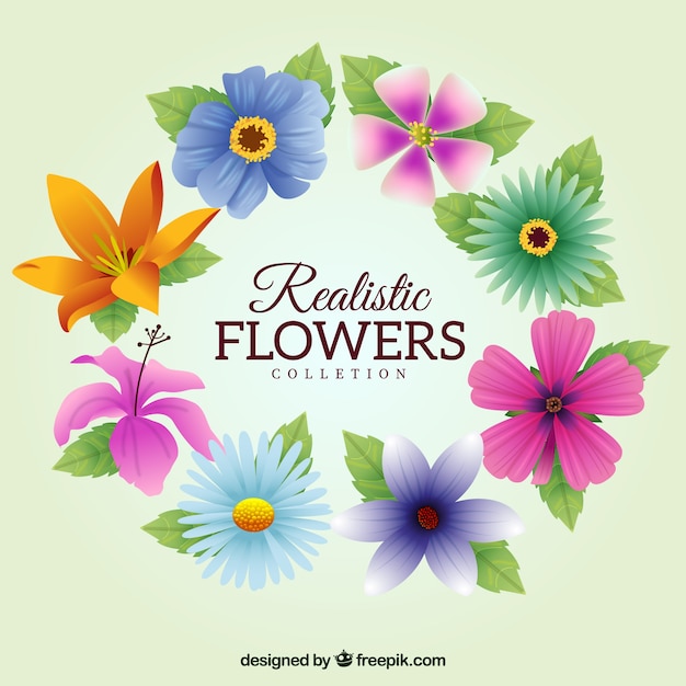 Verscheidenheid van gekleurde bloemen in realistische stijl