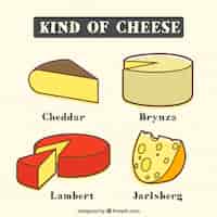 Gratis vector verscheidenheid van kaas
