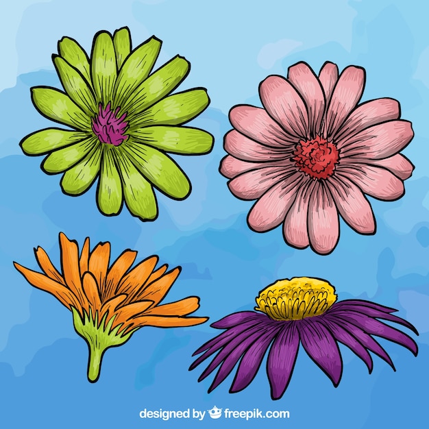 Verscheidenheid van kleurrijke bloemen